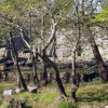 2007.04.01. - Samothraki